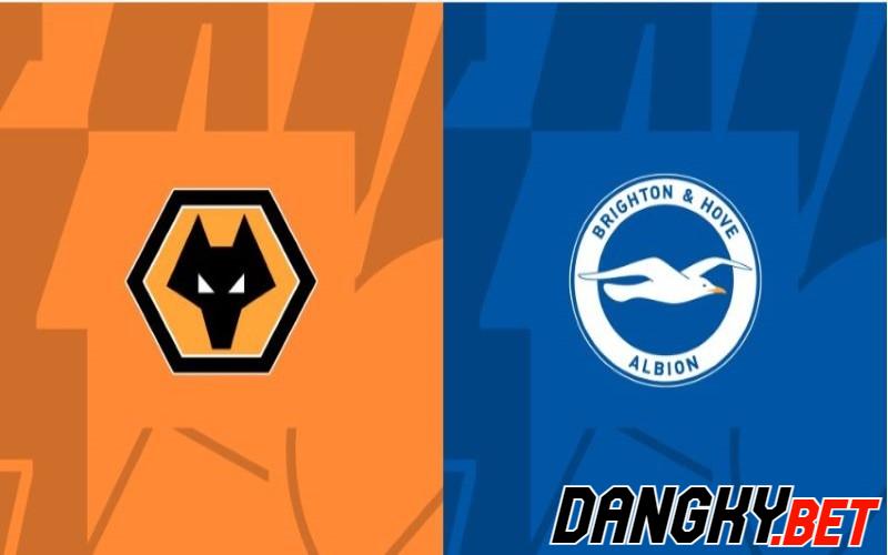Wolves vs Brighton